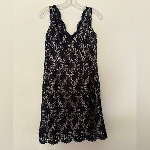 Ann Taylor Navy Dress | 2P